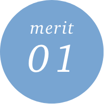 merit01