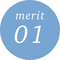 merit 01