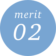 merit 02