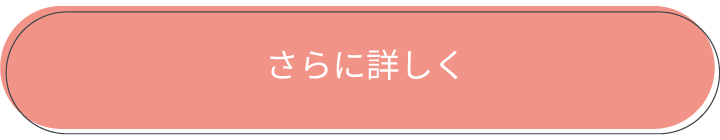 ECILAのシステムを見る