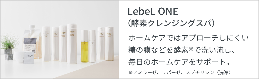 LebeL ONE