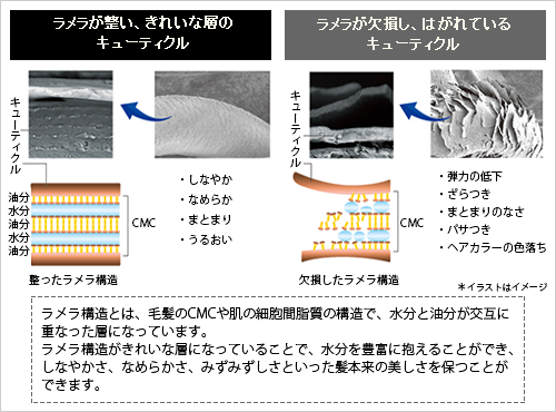 関連画像