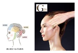 プレサート ギアセラ 120mL 〈フェイス&ヘア美容液〉 | サントル ...