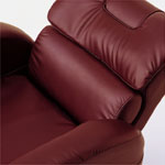 LUMBAR SUPPORT@o[T|[g