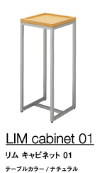 LIM cabinet 01 @Lrlbg 01
