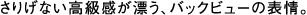肰ȂYAobNr[̕\B